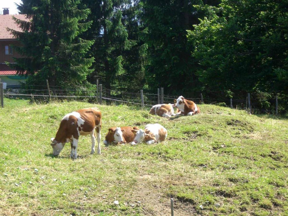 Ferienwohnung Berghof Wallgau Buitenkant foto